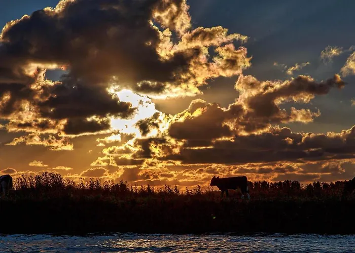 Camping Camping De Hof Van Eeden Warmond