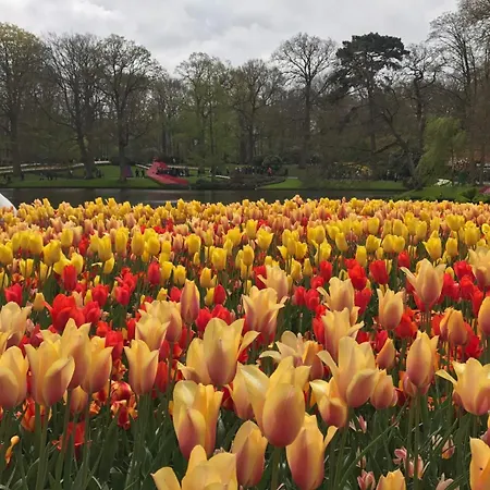 Camping De Hof Van Eeden