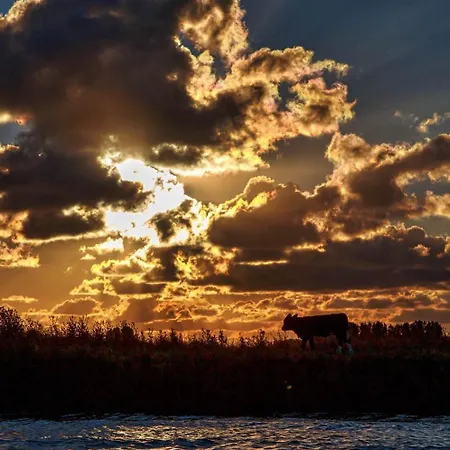 مكان تخييم Camping De Hof Van Eeden Warmond