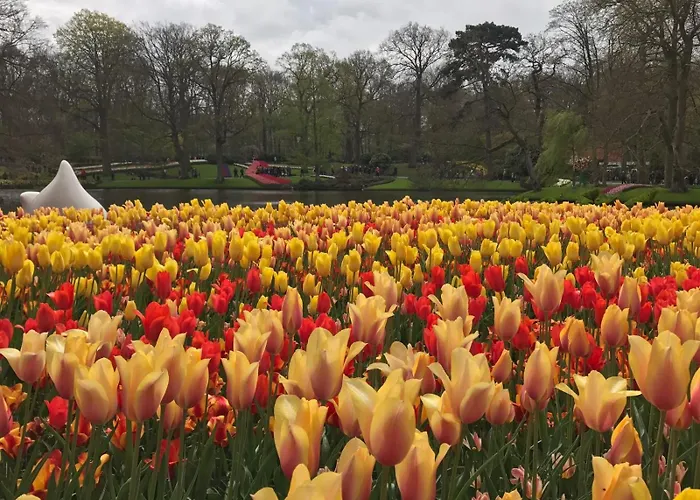 Camping De Hof Van Eeden